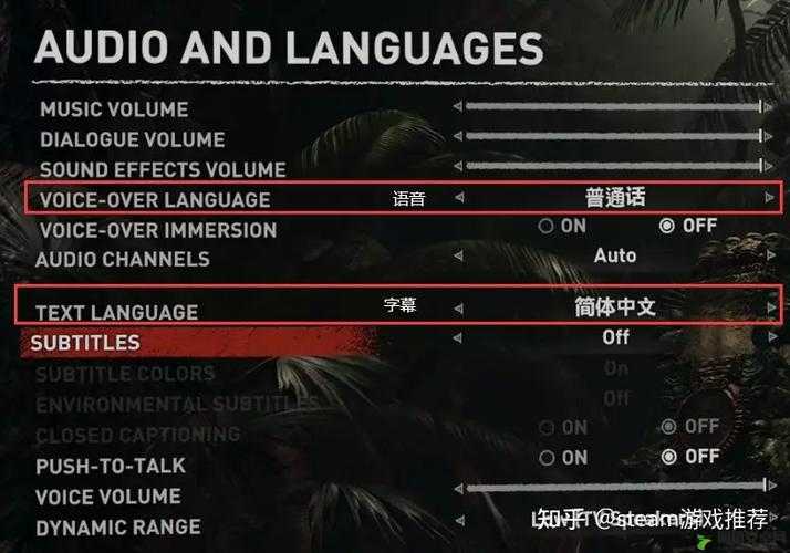 古墓丽影崛起游戏，详细中文配音与中文语音设置步骤指南